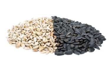 Sunflower seeds